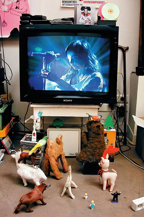 Björk: Cambridge 1998 Poster