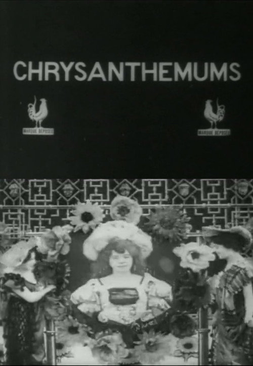Chrysanthemums Poster