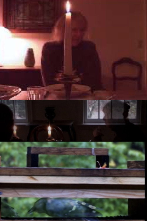 The Bird Feeders Poster