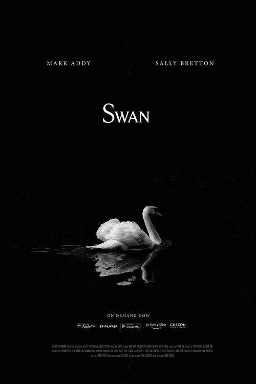 Swan Poster