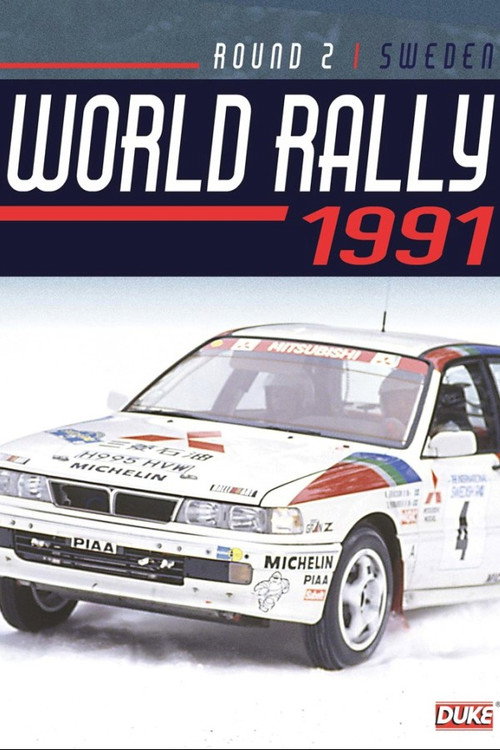 Rally Sweden 1991 Poster
