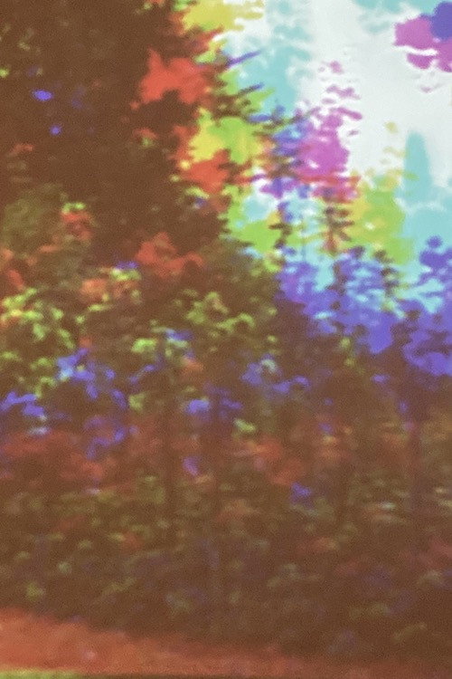 Oo Fifi, Five Days In Claude Monet's Garden, Part 1 Poster