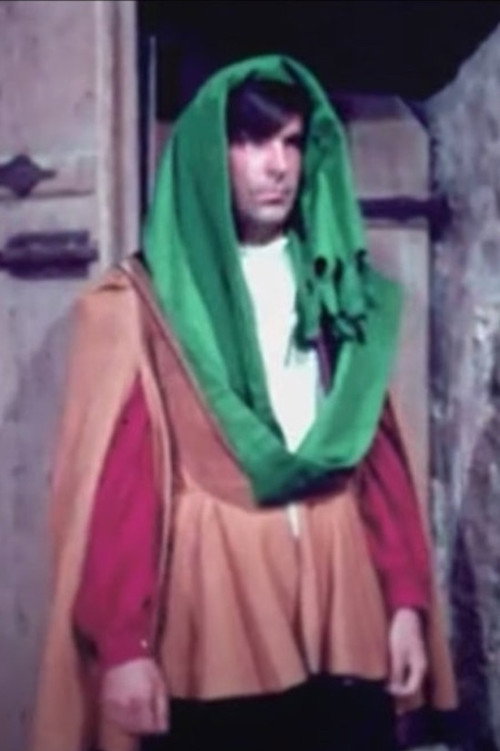 Life in a Medieval Town Poster