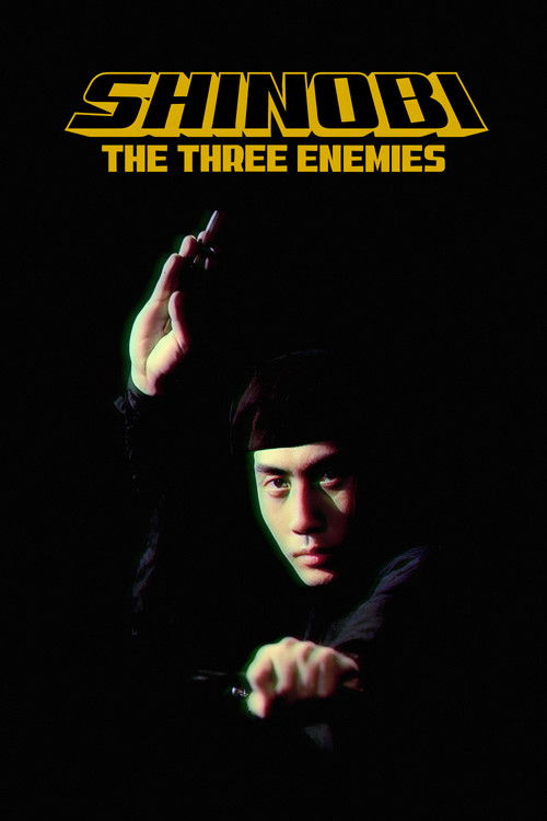 Shinobi no mono 8: The Three Enemies Poster