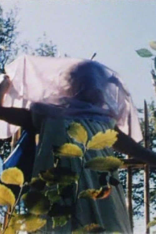 Anna-Stina Ehrenfeldt: Painter Poster