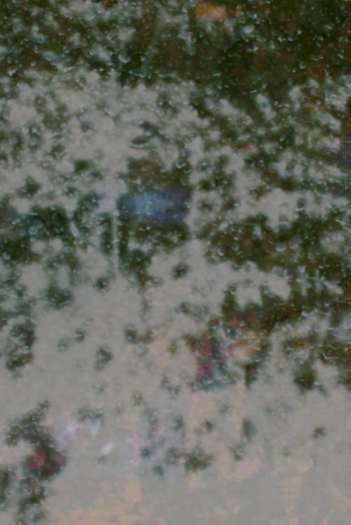 Highbushes burning Poster