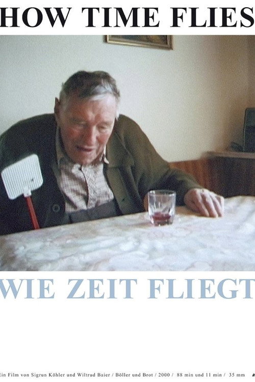 How Time Flies Poster