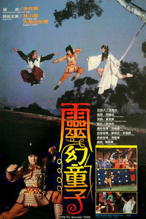 Kung Fu Wonder Child Poster