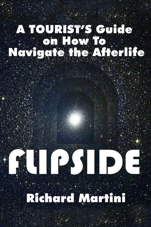 Flipside: A Journey into the Afterlife Poster