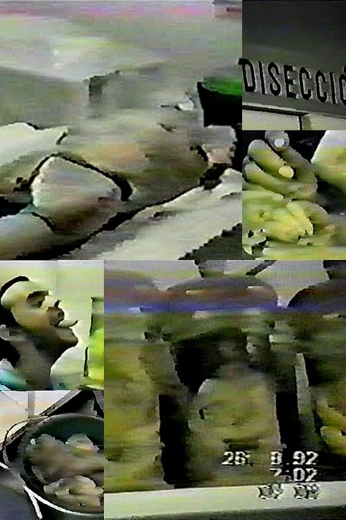 Mortuary of the Dead Poster