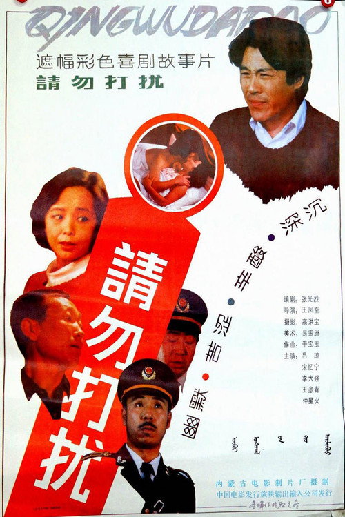 请勿打扰 Poster
