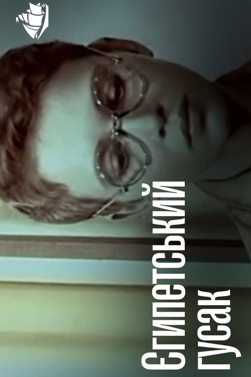 The Egyptian Goose Poster