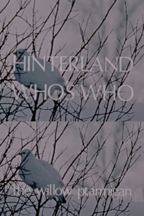 Hinterland Who's Who: The Willow Ptarmigan Poster