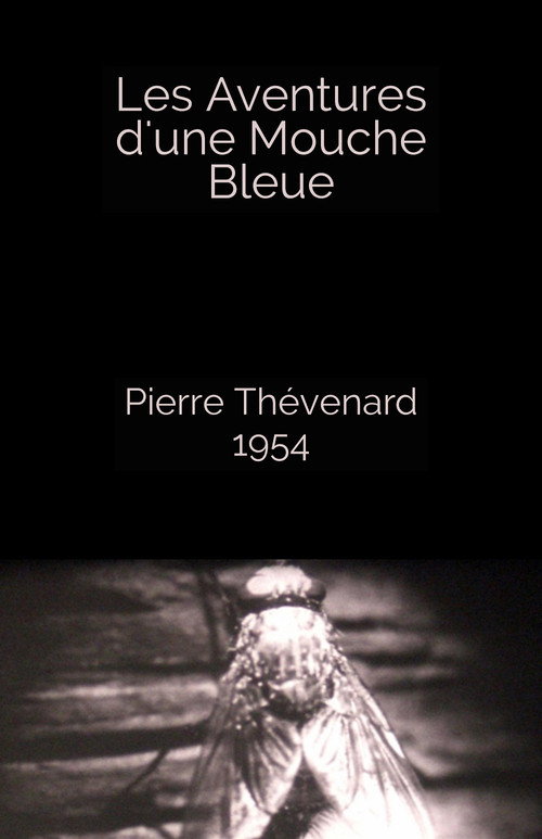 The Adventures of a Blue Fly Poster
