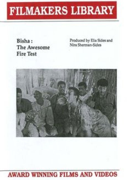 Bisha: The Awesome Fire Test Poster