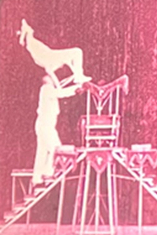 Vaudeville Deluxe Poster