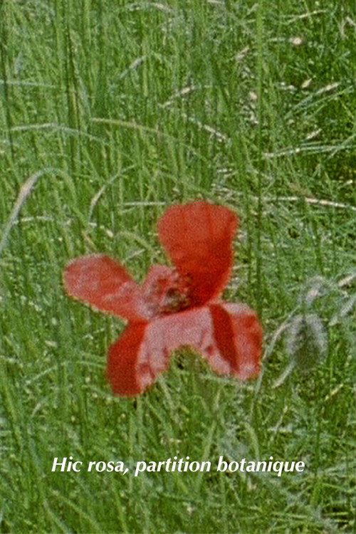 Hic rosa, partition botanique Poster