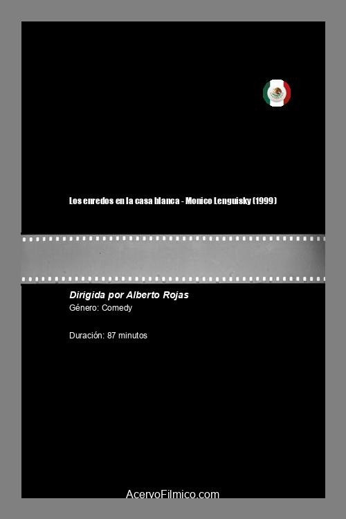 Los enredos en la casa blanca Poster