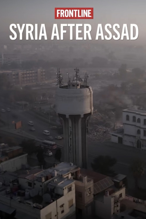 Syria After Assad Poster