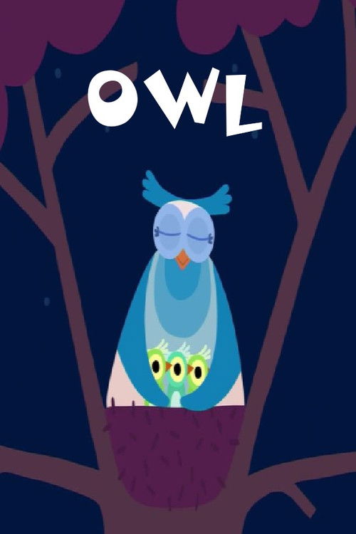 Owl Poster