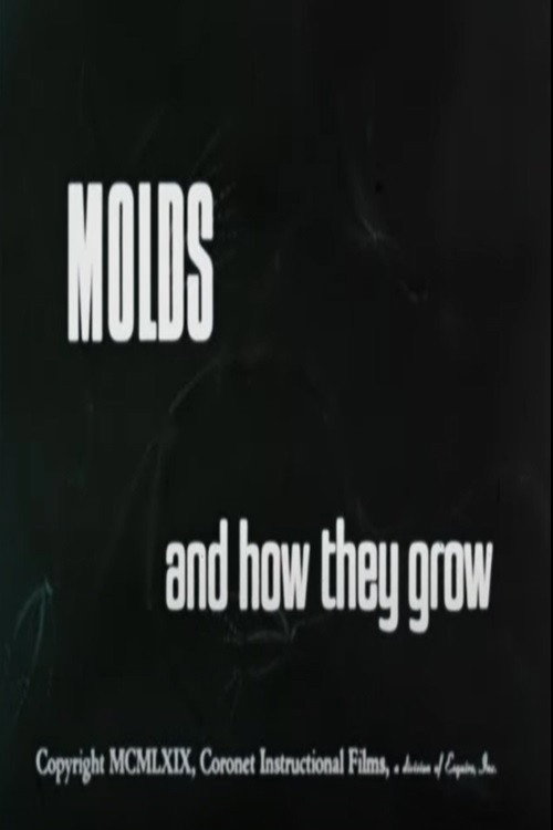 Molds and How They Grow Poster