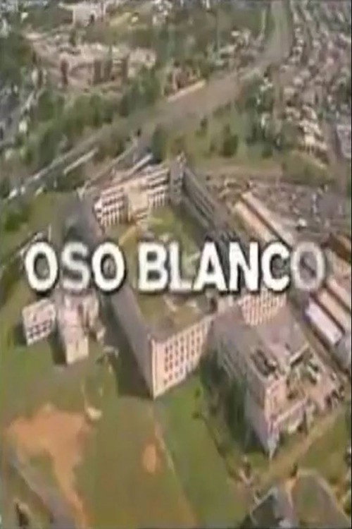 Oso Blanco Poster