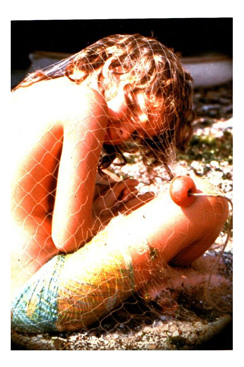 Ricciocapriccio Poster