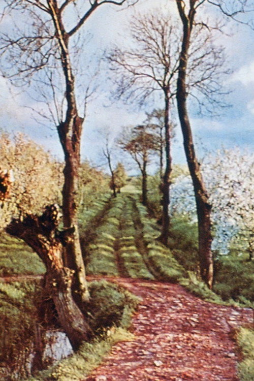 As It Was Revealed Unto Jeroen Eisinga Poster