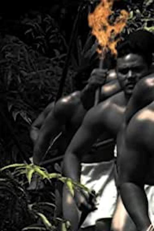 Ka'ililauokekoa Poster