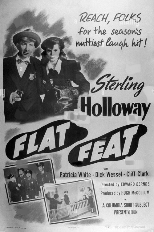 Flat Feat Poster