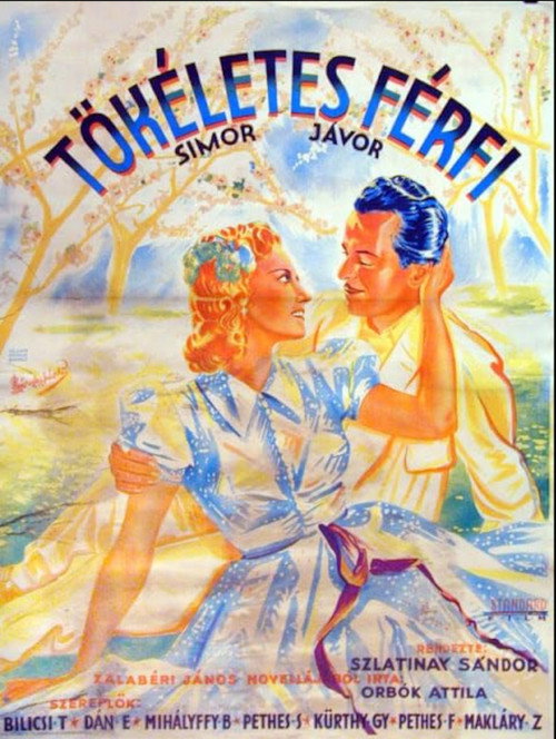 Tökéletes férfi Poster