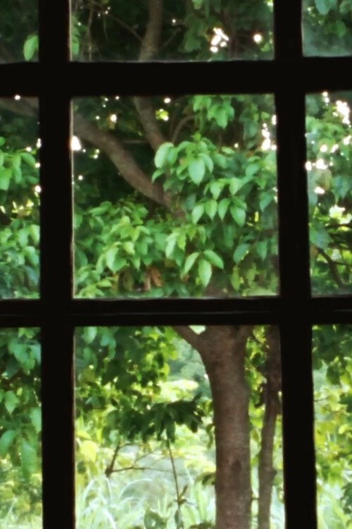 The Unnamed II Poster