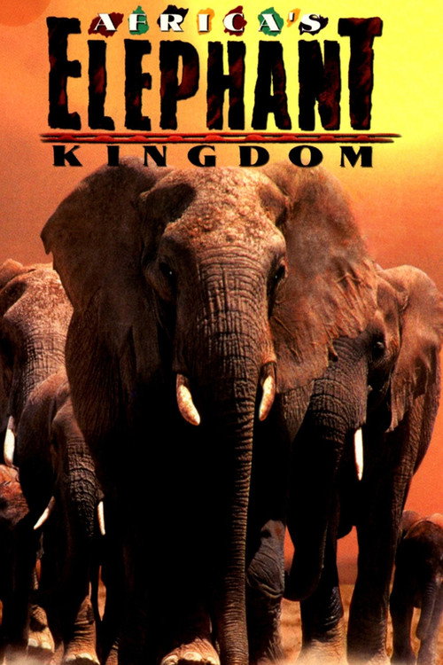 Africa's Elephant Kingdom Poster