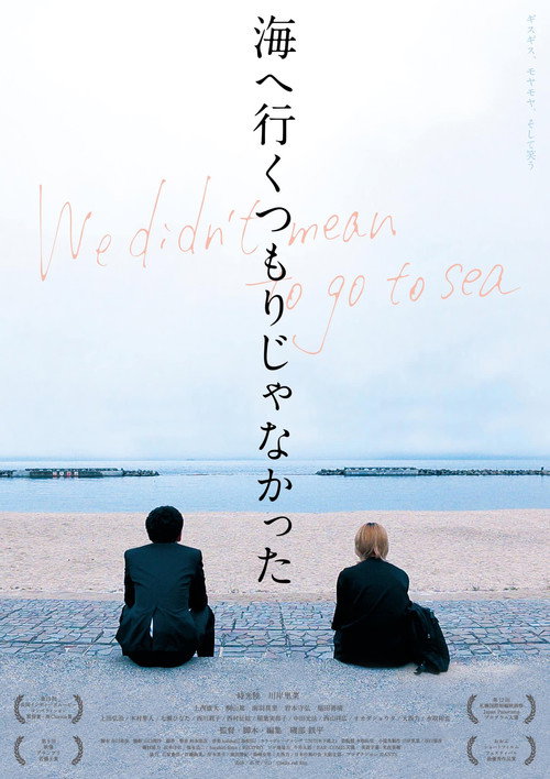 We Didn't Mean To Go To Sea Poster