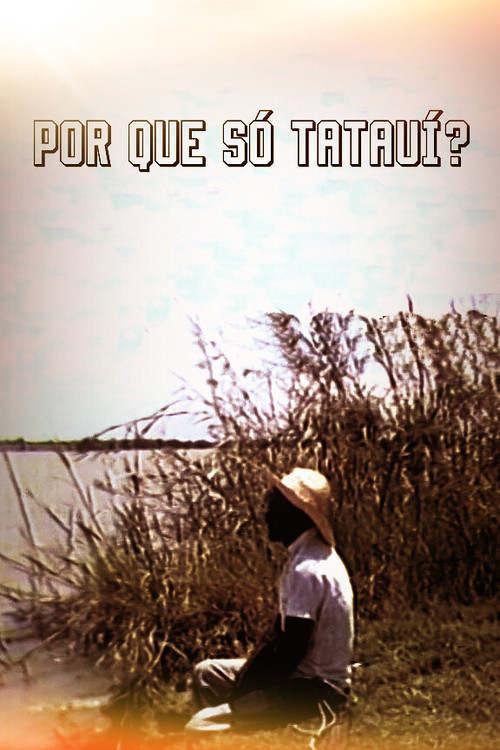 Por que Só Tatauí? Poster