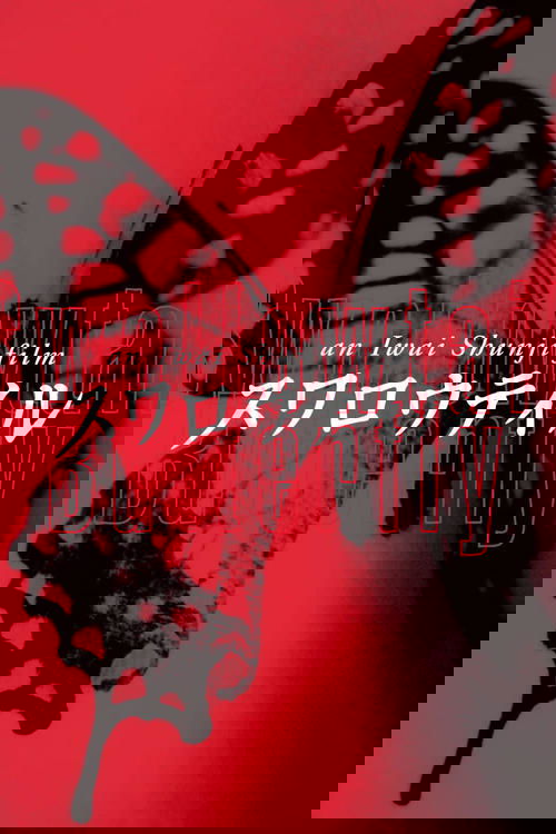 Swallowtail Butterfly Poster