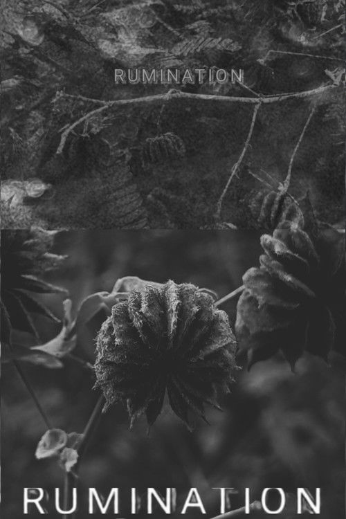 RUMINATION Poster