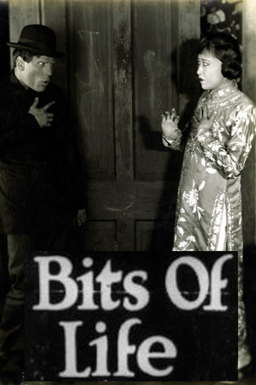 Bits of Life Poster