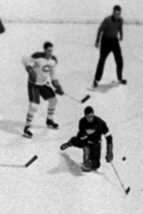 Mon numéro 9 en or Poster