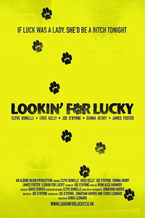 Lookin' For Lucky Poster