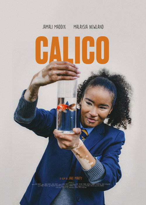 CALICO Poster