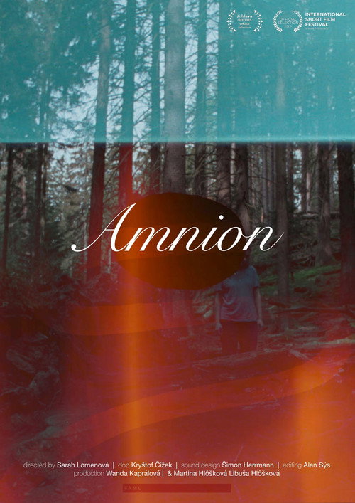 Amnion Poster