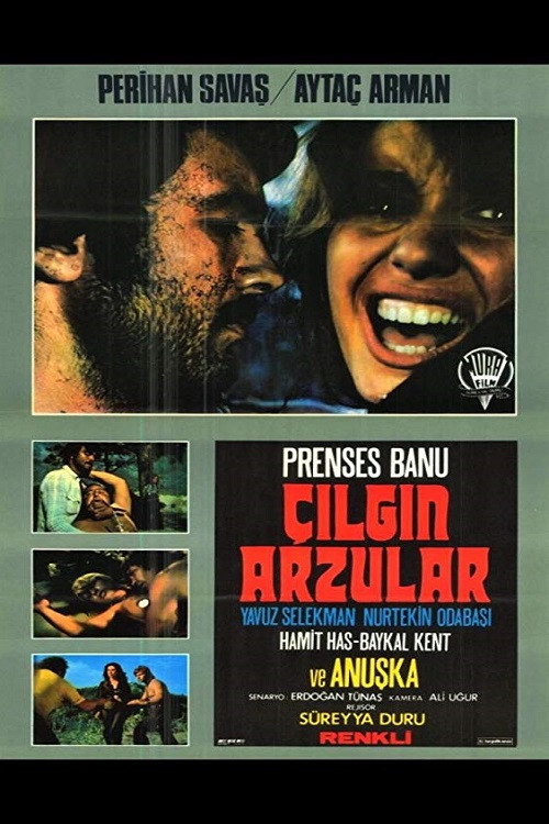 Çılgın Arzular Poster