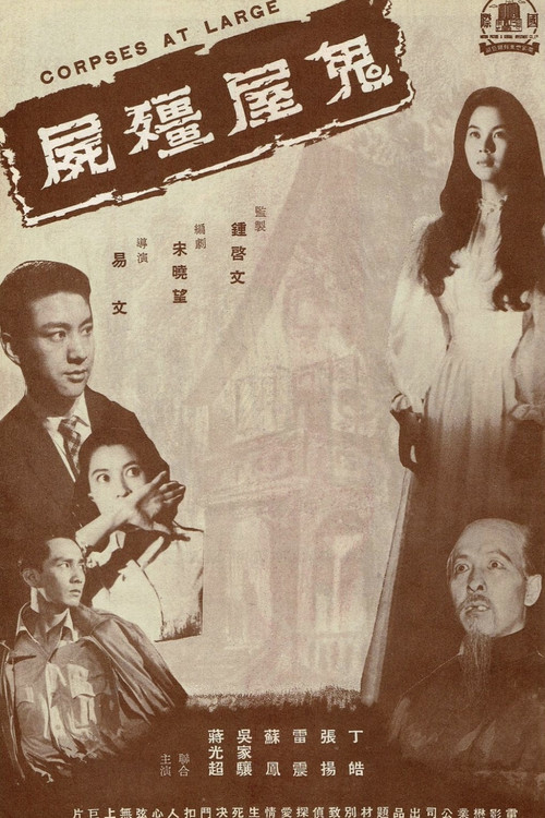 Zombie in a Haunted House Poster