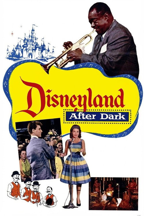 Disneyland After Dark Poster