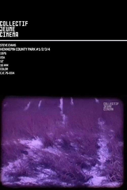 Hennepin County Park I, II, III, IV Poster