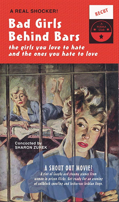 Bad Girls Behind Bars Poster