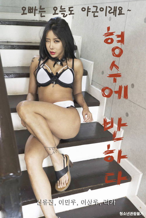 Fall in Love With the Brother-in-law Poster