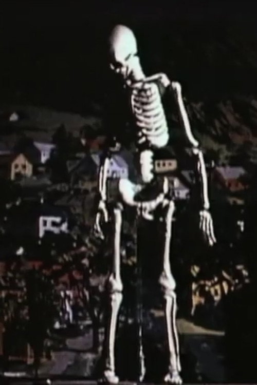 Taurus Test Footage Poster