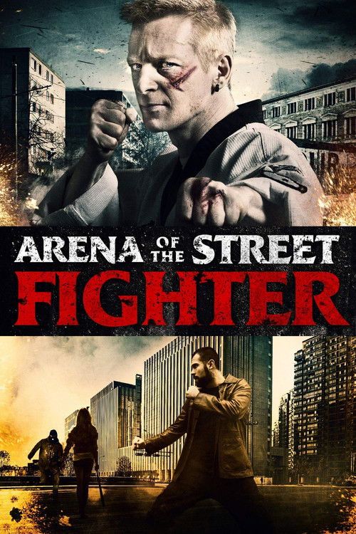 Arena of the Street Fighter Poster